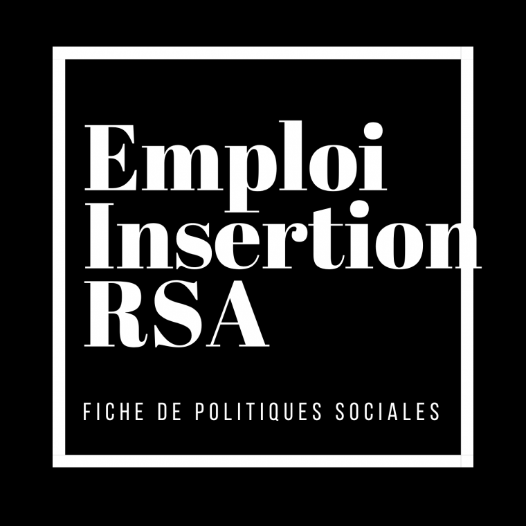 Fiche DC 4 politique sociale EMPLOI INSERTION RSA